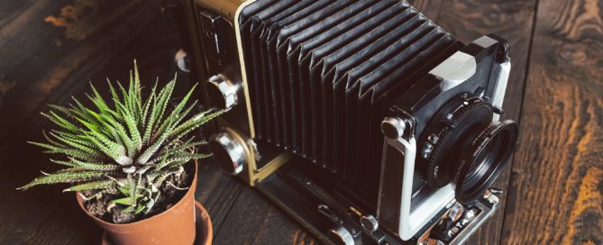 Wista Field 45D Large format Camera, header image
